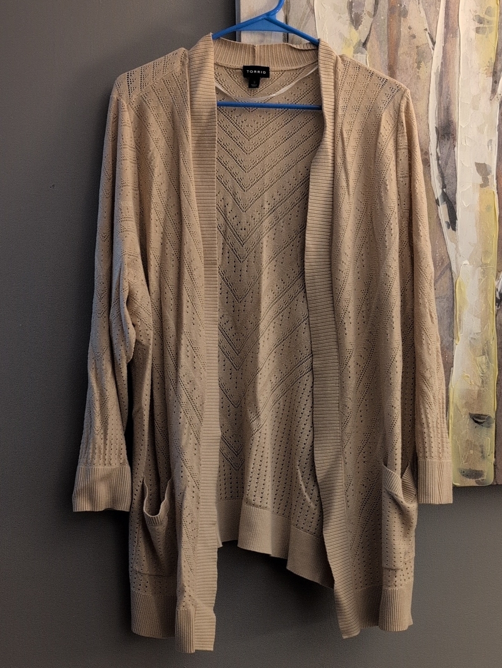 torrid taupe open-front pointelle knit cardigan Size 3
